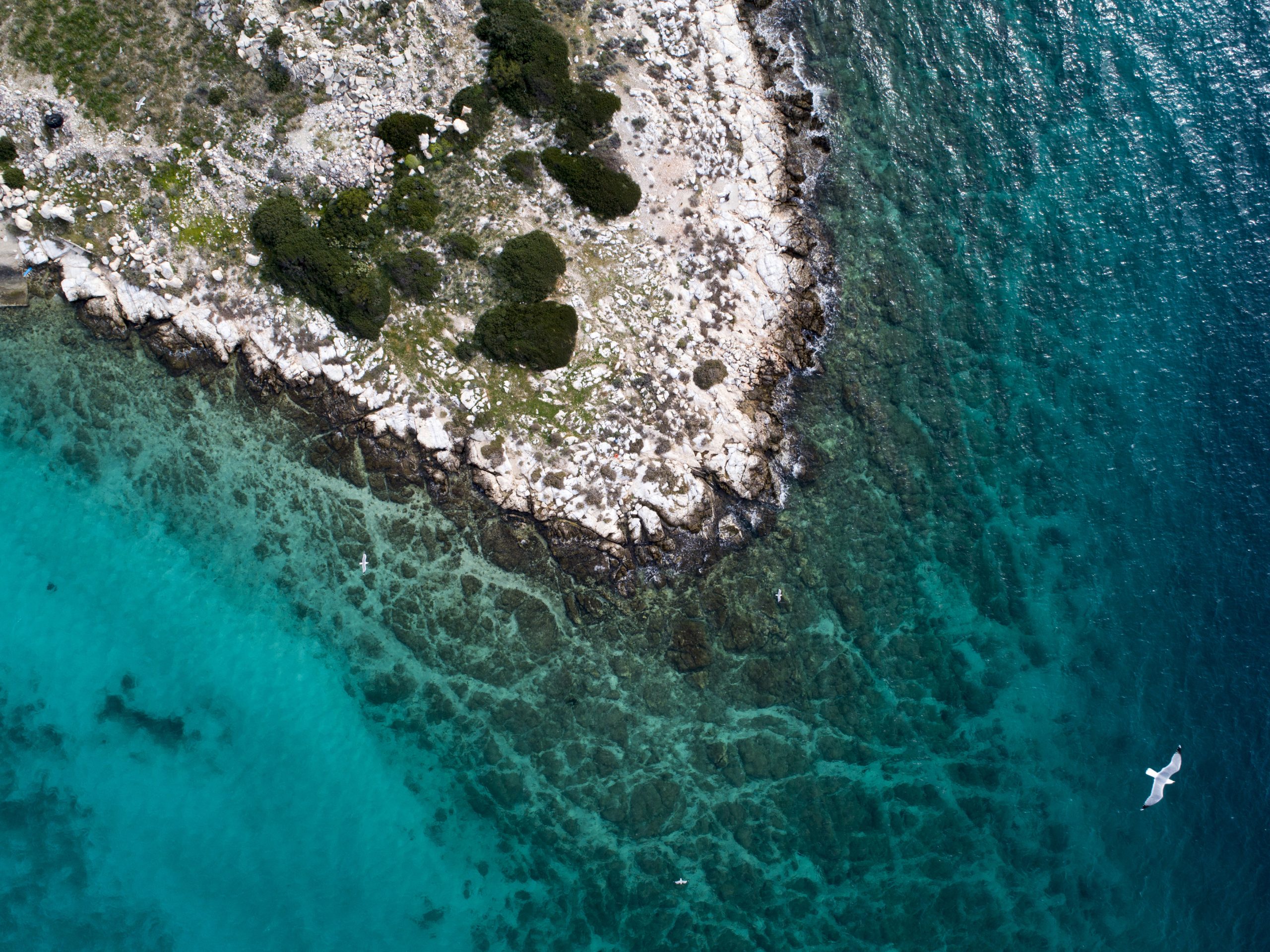 Αρχική